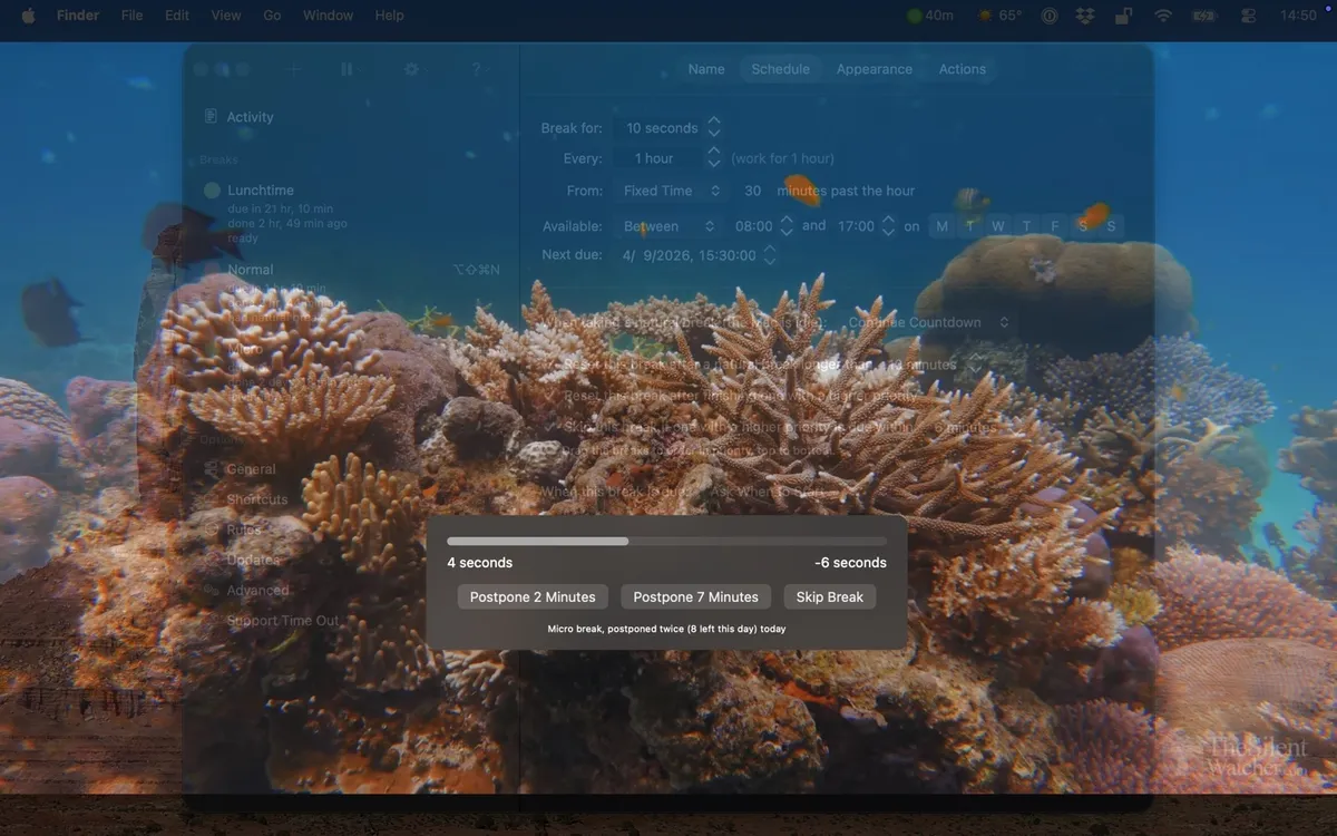 Time Out micro break over a coral reef background